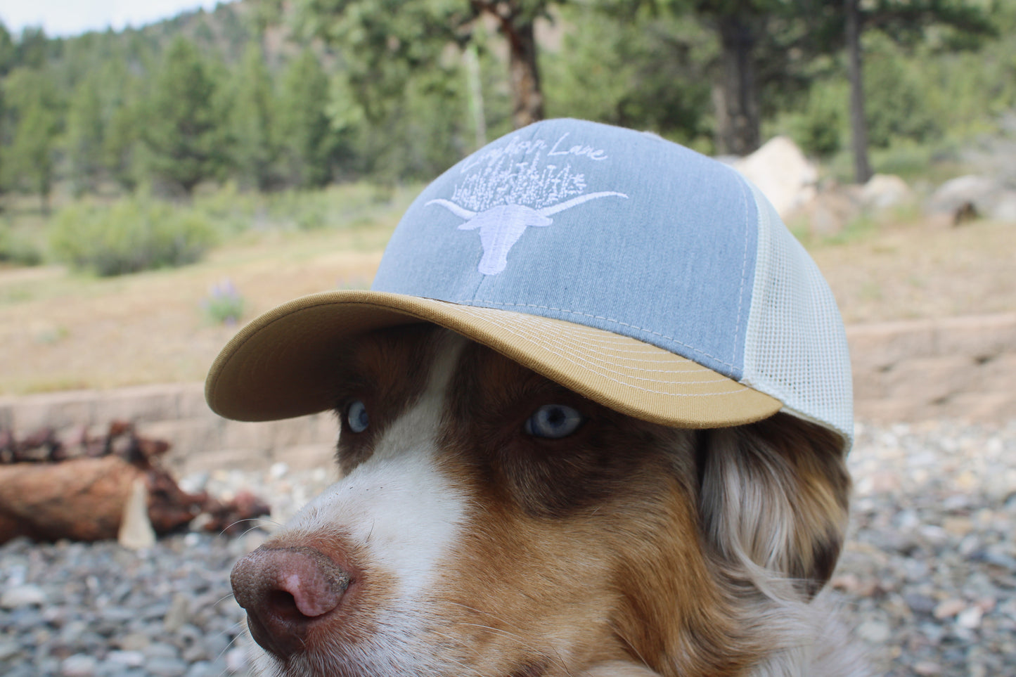 Yellow Wildflower Logo Hat