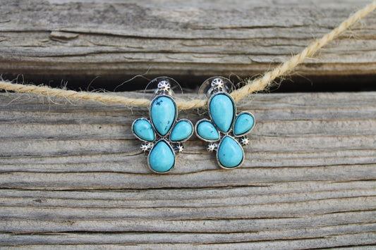 Stagecoach Earrings