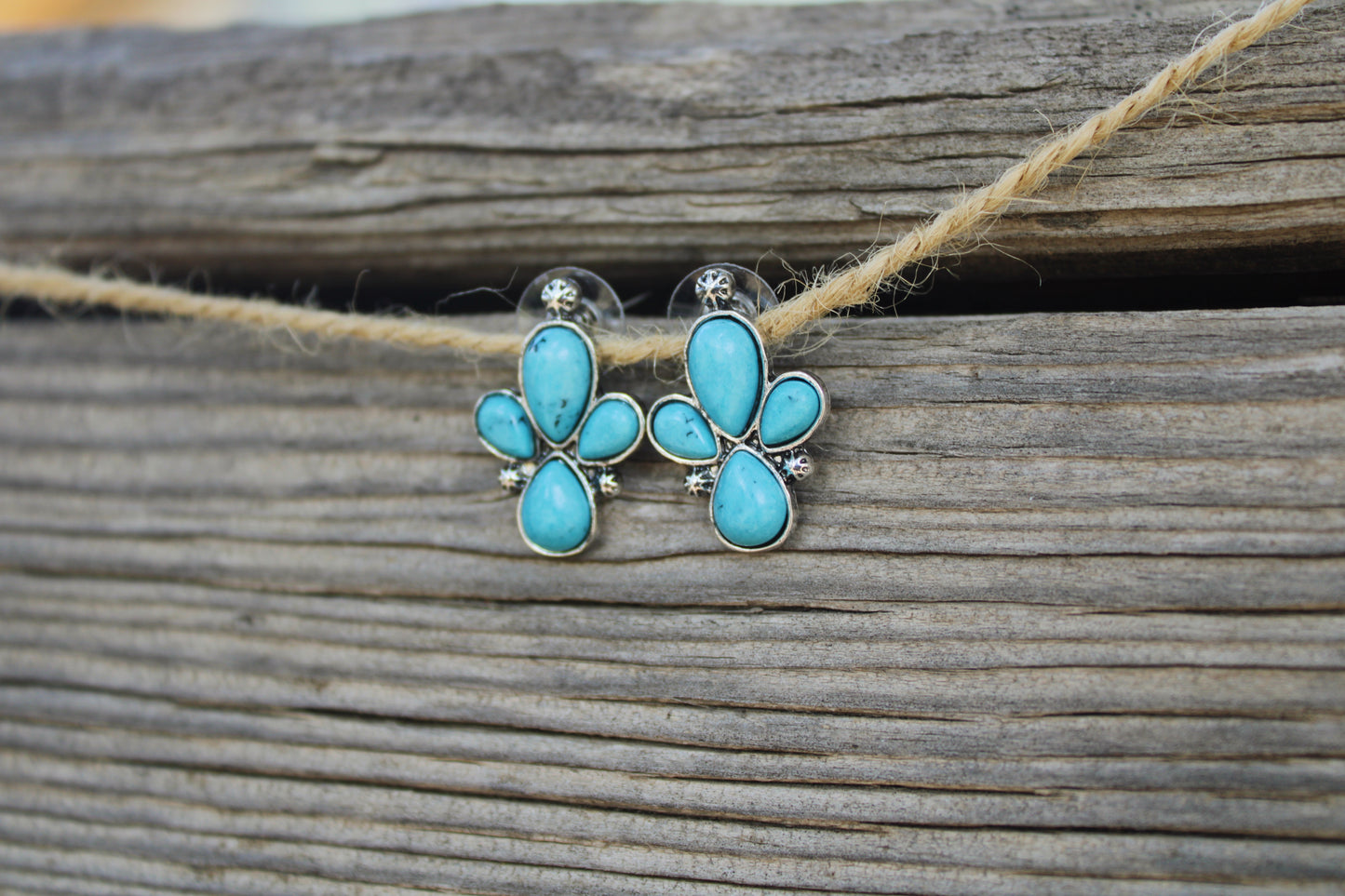 Stagecoach Earrings