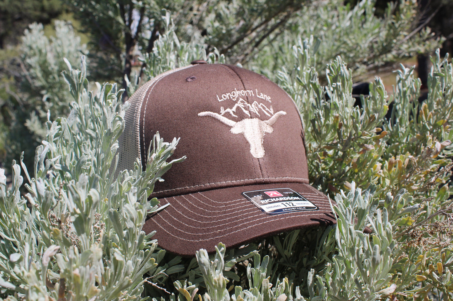 Brown Mountain Logo Hat