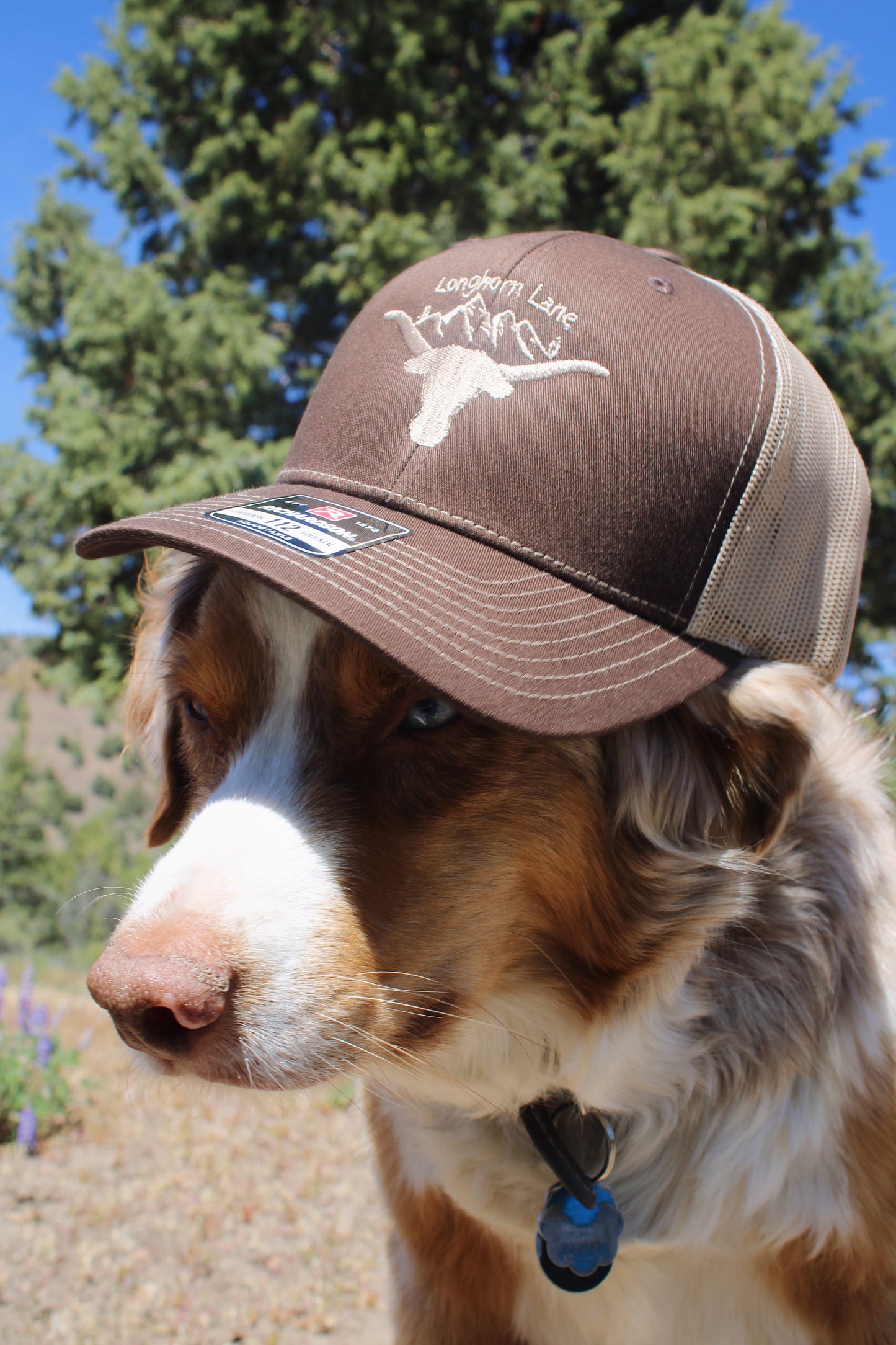 Brown Mountain Logo Hat