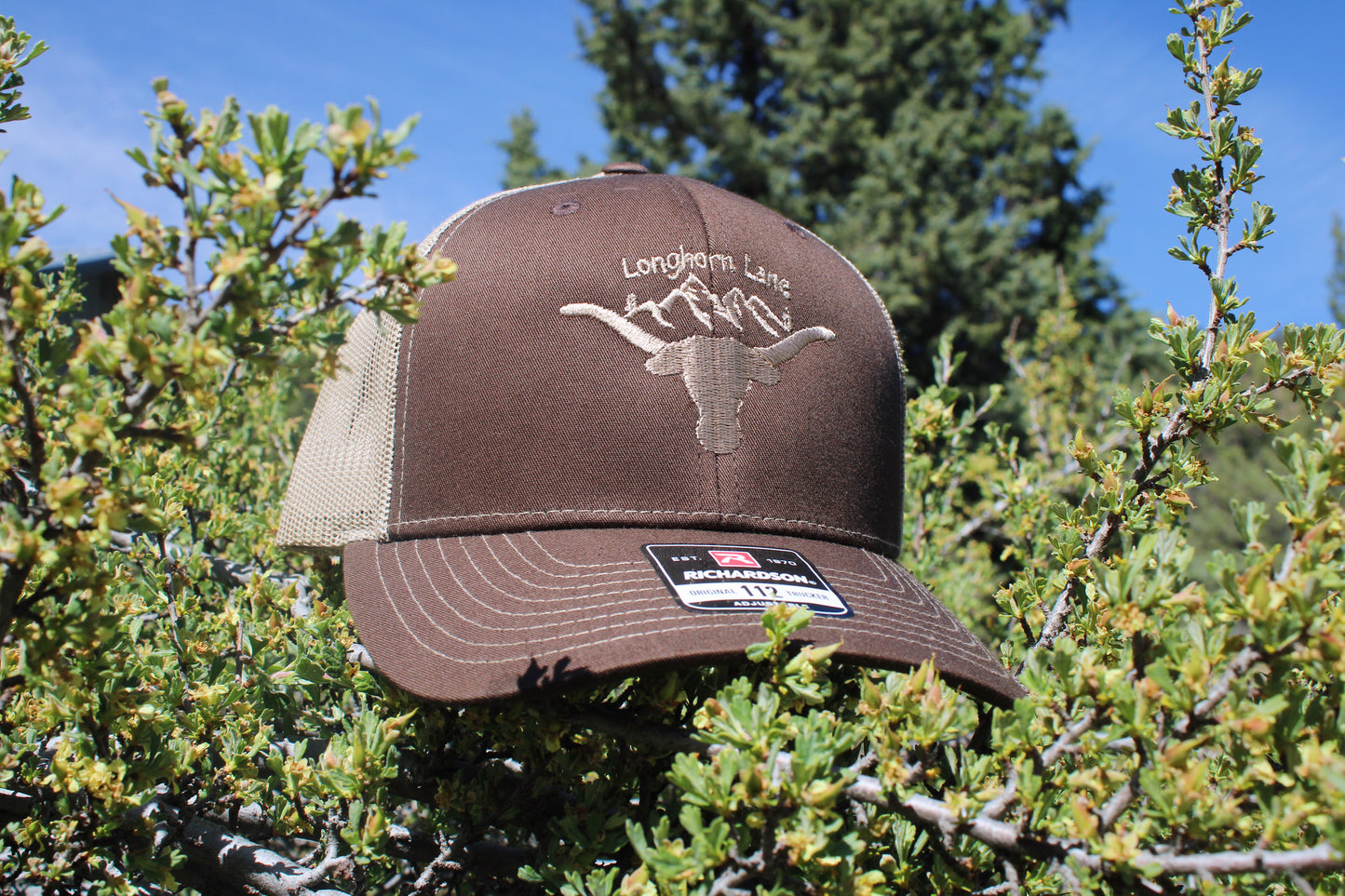 Brown Mountain Logo Hat